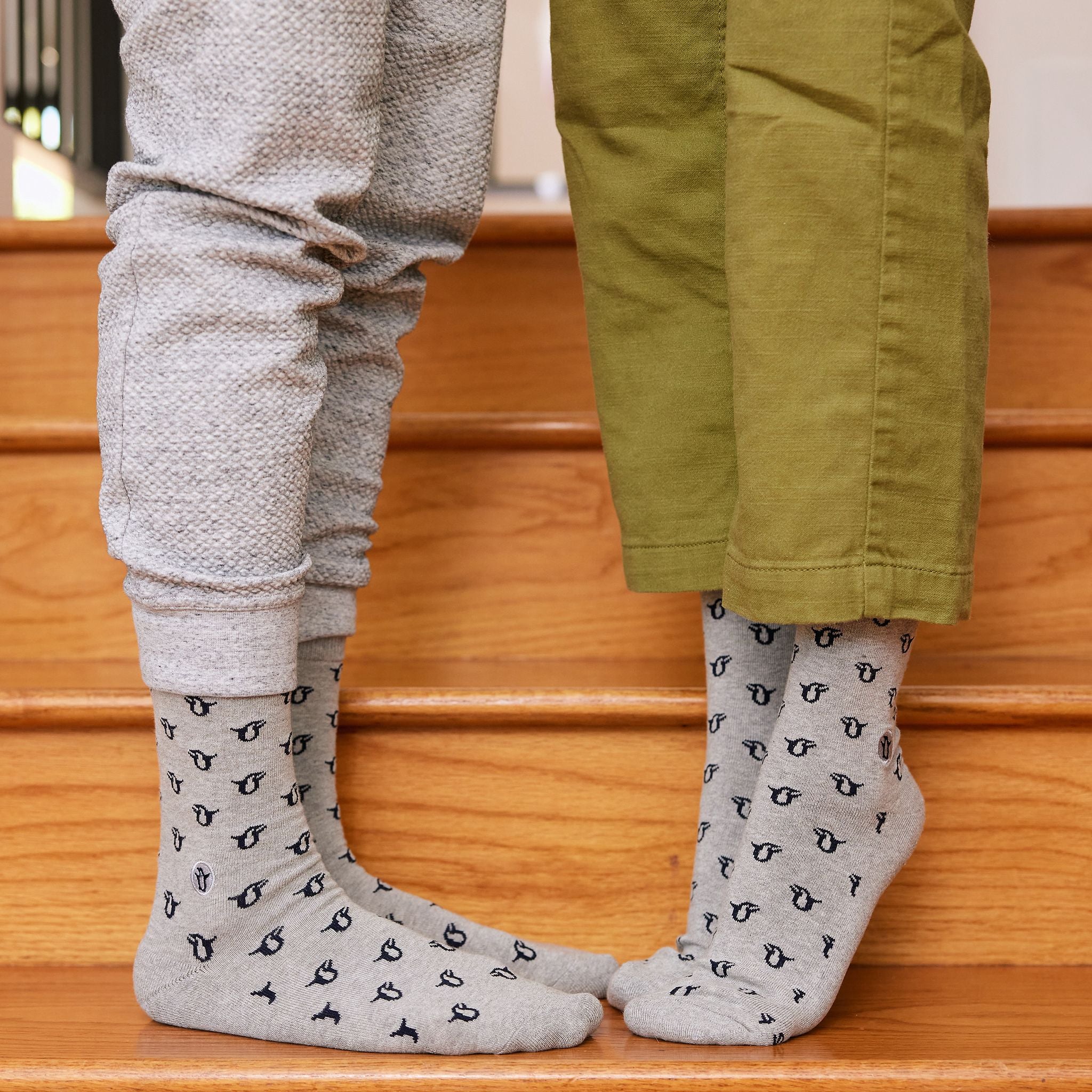 Socks that Protect Penguins