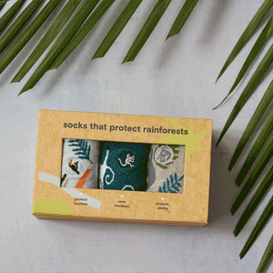 Socks that Protect Rainforests
